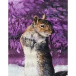 (image for) Squirrel